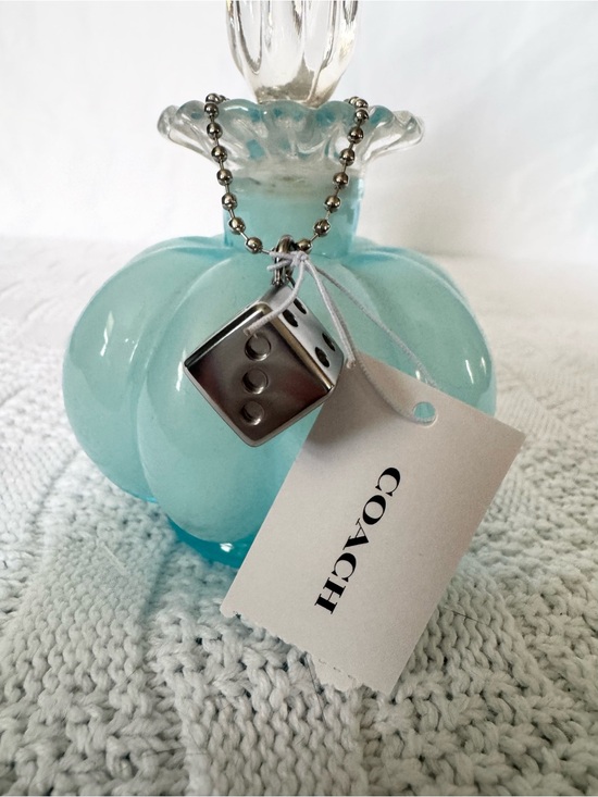 Coach Accessories - Coach NWT silver dice charm